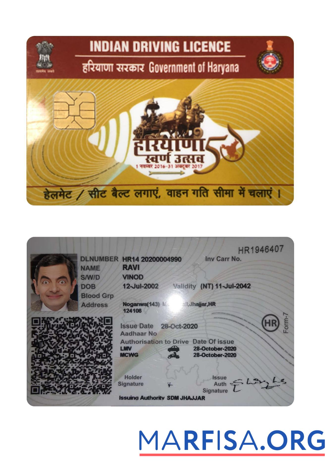 Printable India Haryana state driving license template